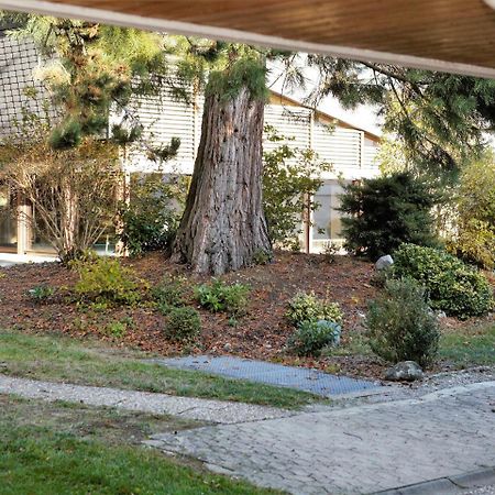 רייכנאו Ferienwohnung Konigsegg Ines Koch מראה חיצוני תמונה