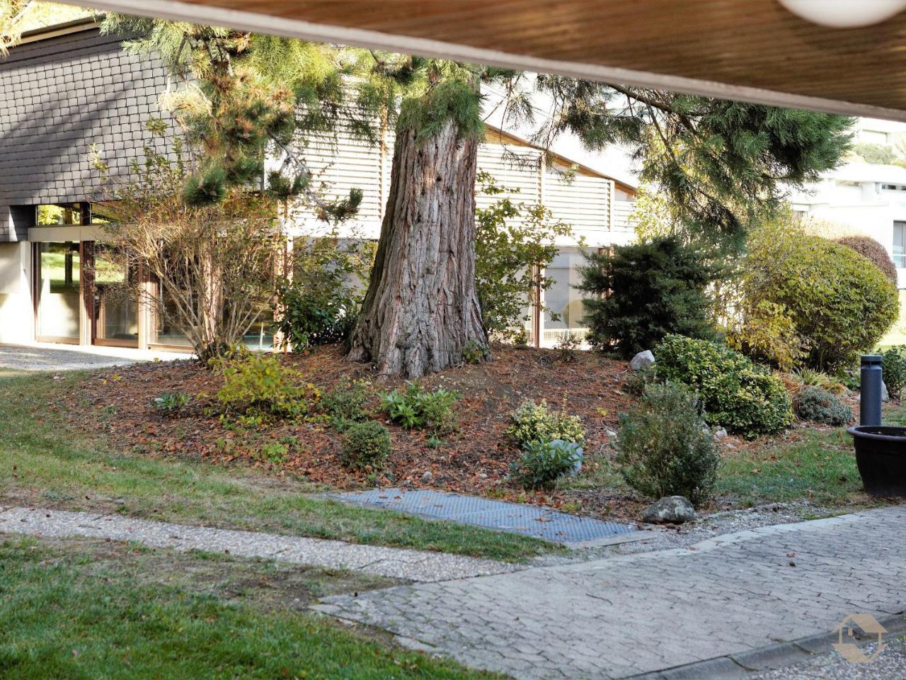 רייכנאו Ferienwohnung Konigsegg Ines Koch מראה חיצוני תמונה